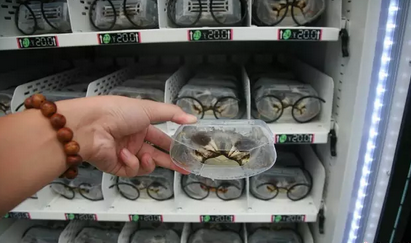 BC贷(中国游)官方网站