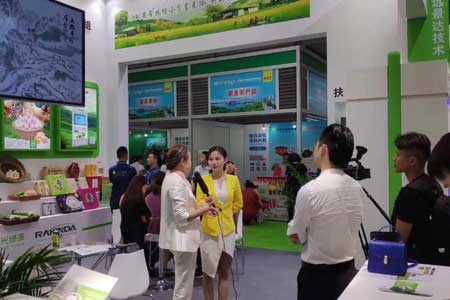 BC贷(中国游)官方网站